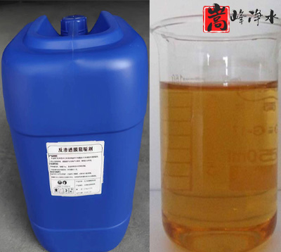 ���B͸�蹸��SF-1100